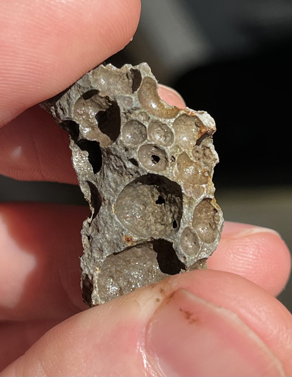 thespaceupdate's tweet image. Found this in the garden today. Dark grey bubbled stone with iron in it. 🤔 

I don’t want to jump the gun, but meteorite or not?? ☄️💫

#SpaceHour #Astrohour #TeamSpace #Meteor