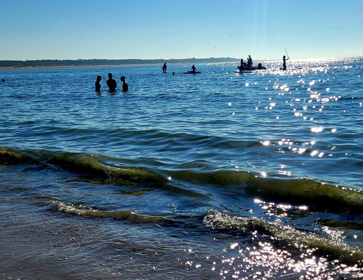 De bezoekers van #cas kunnen ook een poging wagen te suppen of gewoon af te koelen in de zee