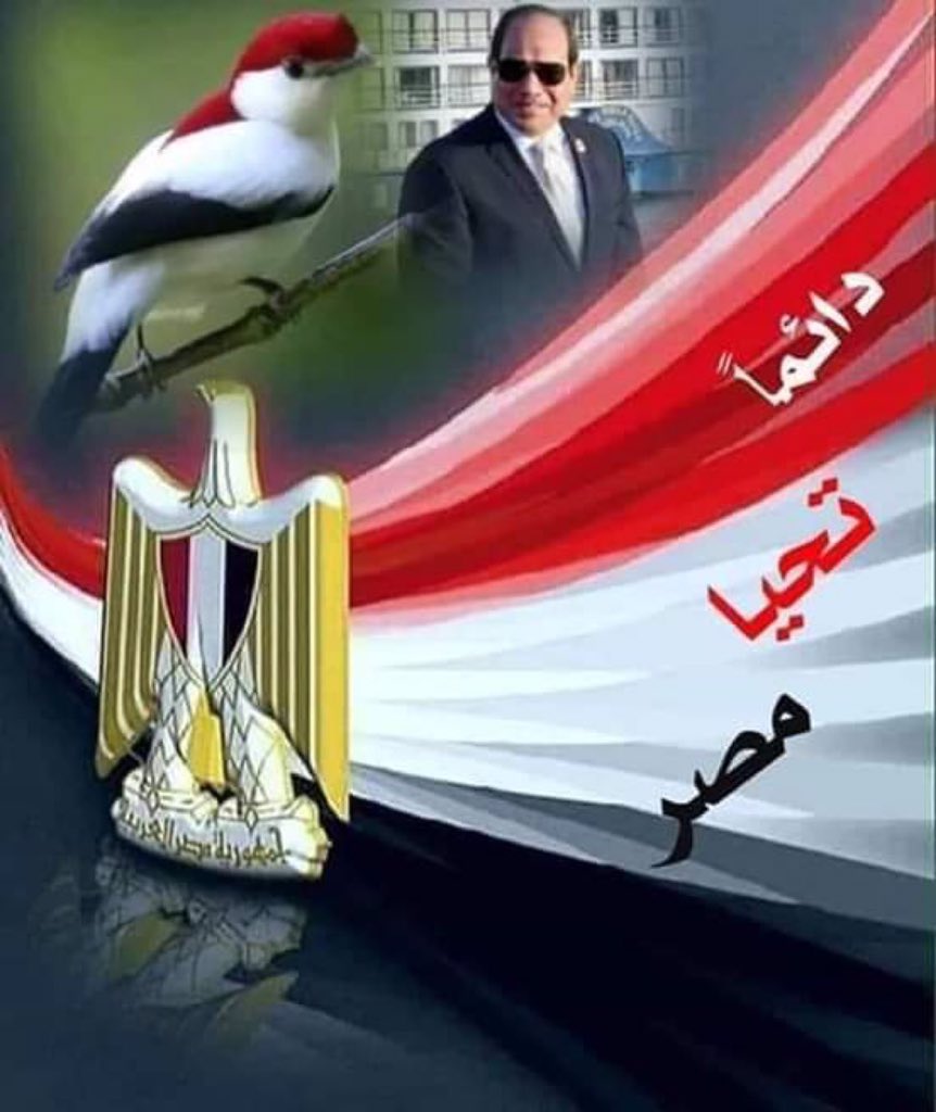 كلنا لازم نقول للريس كل عام وحضرتك بخير و سعاده و صحه جيده بمناسبة ذكرى ثورة 30 يونيو المجيدة