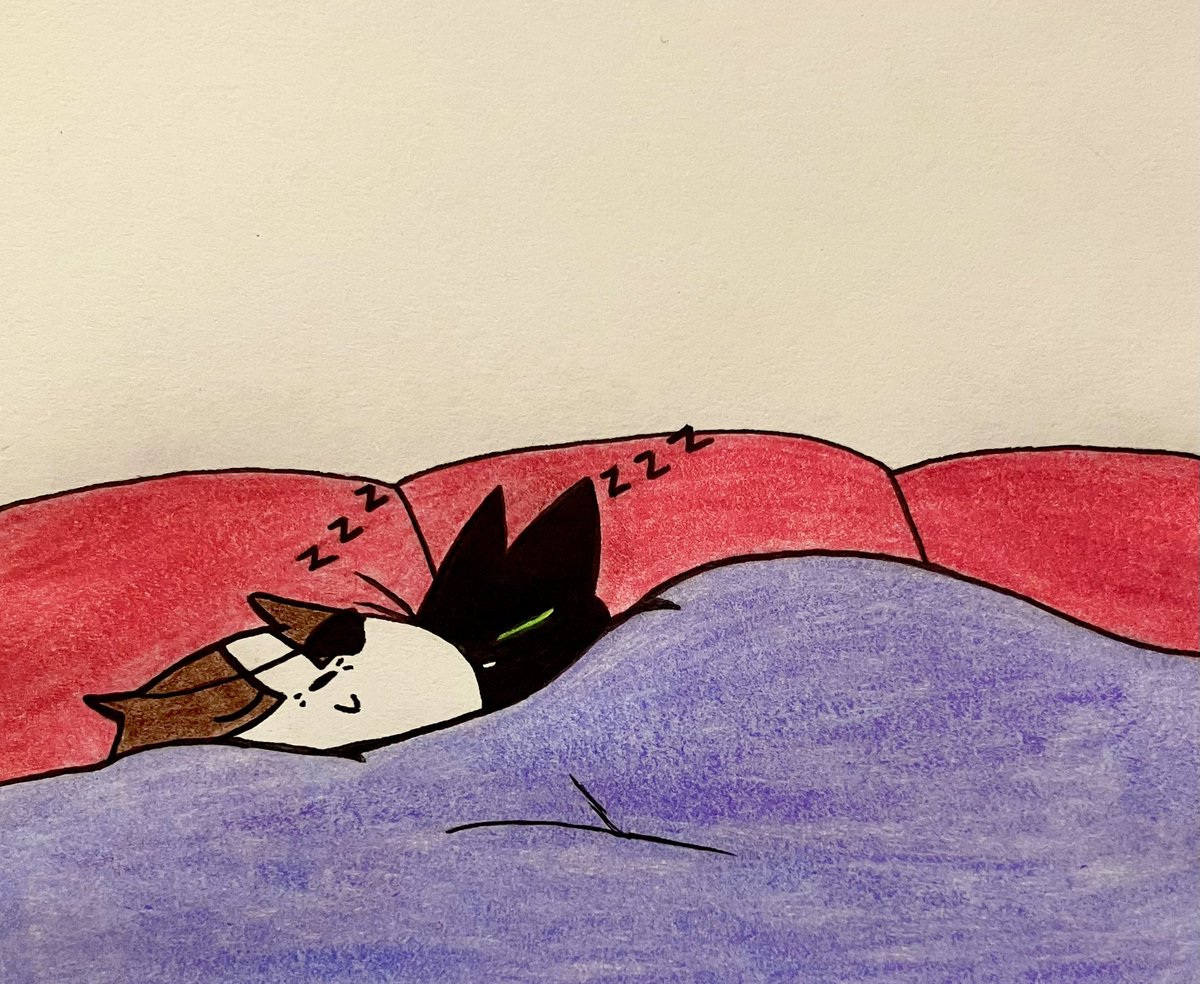 Day 4: Vacation 
A nap on the couch is the best way to unwind 🛋️💤 
#badgerweek2023 #maomao #maomaoheroesofpureheart #mmhoph #badgermao