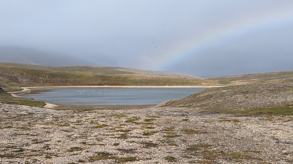 InTheLoopTravel's tweet photo. The rainbow ends at the kittiwakes. 
We had an incredible landing and hike on Bear Island, a rare chance to explore this remote slice of #Svalbard.
@LindbladExp @NatGeoTravel #NatGeoResolution https://t.co/cIDgp6kJ1V