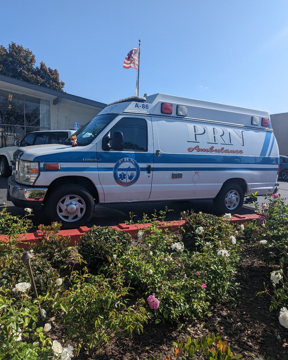 PRNambulance's tweet photo. It's officially Summertime! Let's make it a great one! 😎 #ambulancelife https://t.co/9GOXfVDQGg