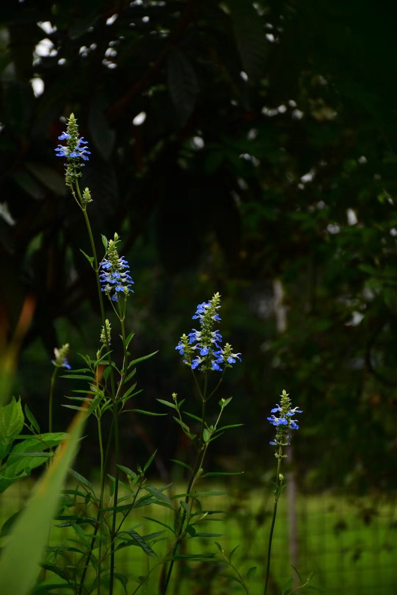 chong (@ahko3202) on Twitter photo 