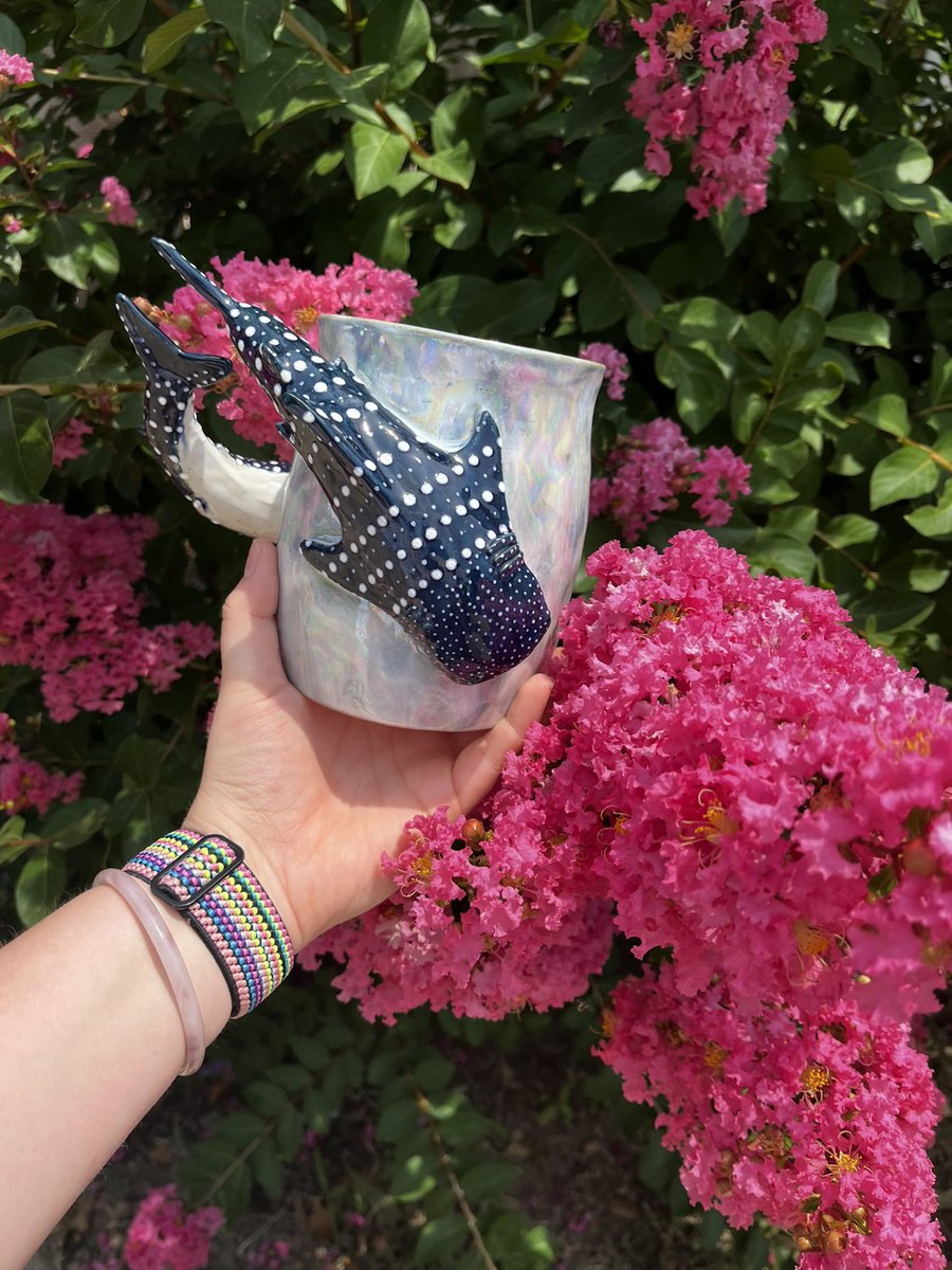 amanda_self16's tweet photo. The prettiest mug #whalesharks https://t.co/GZJiuX4l5N