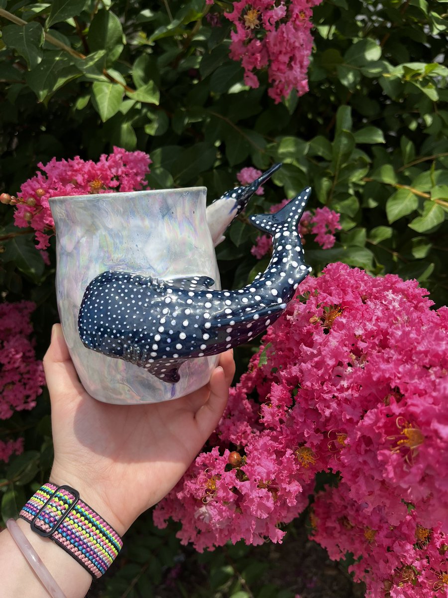 amanda_self16's tweet photo. The prettiest mug #whalesharks https://t.co/GZJiuX4l5N