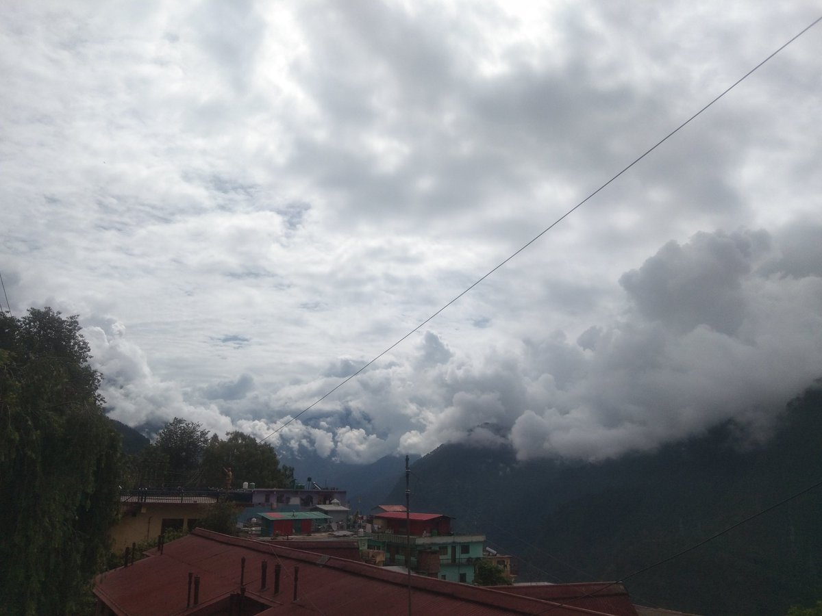 🌿Good morning beautiful 🌿