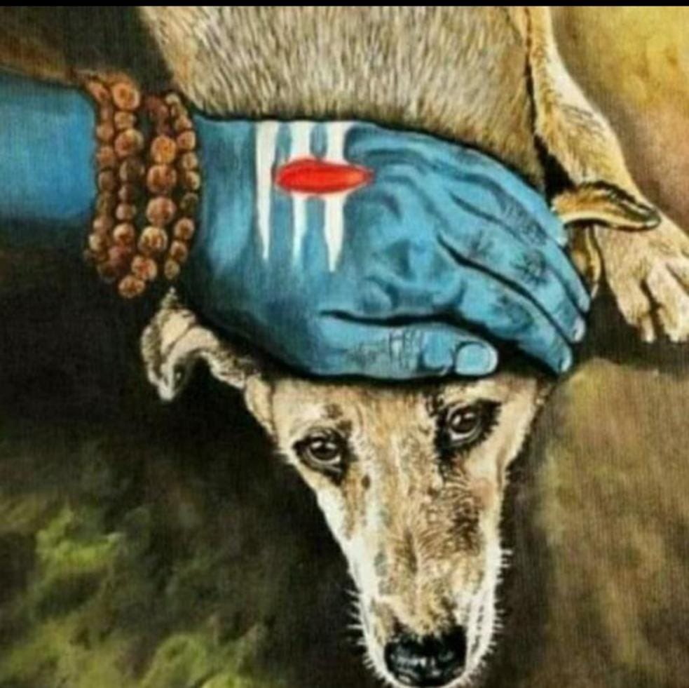 Anmol (@anmol_kanda2) on Twitter photo #stopkeralakiling
They deserve a life and no one has a right to take their life.
<a href="/narendramodi/">Narendra Modi</a> this is a country of where ever being was loved by our gods. #stopkeralakiling #stopkeralakiling
They deserve a life and no one has a right to take their life.
<a href="/narendramodi/">Narendra Modi</a> this is a country of where ever being was loved by our gods. #stopkeralakiling