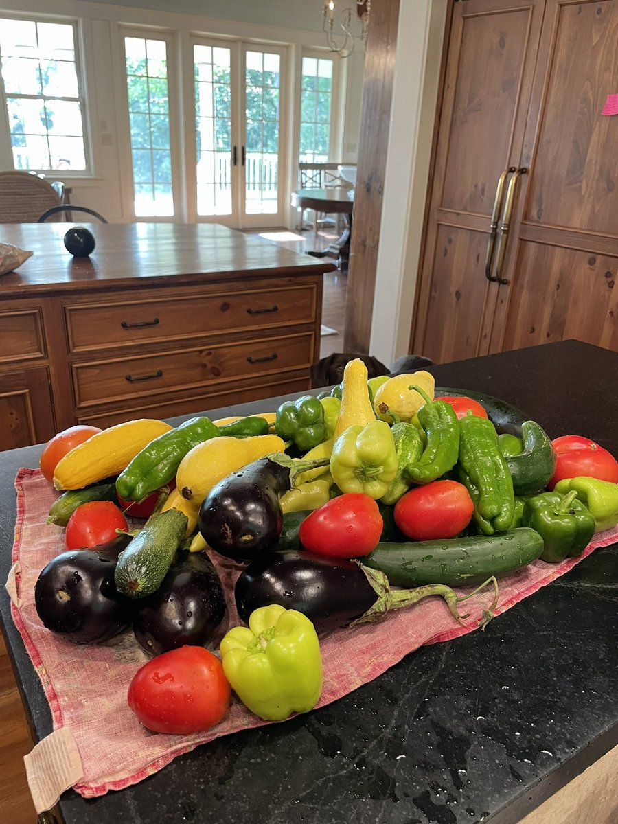 noneal510's tweet photo. Doing the important things today - pool time, fishing, a massive garden harvest, cooking, and a puzzle to end the night. π #lowcountry #springisland #simpletimes https://t.co/KTMxTX3YcO