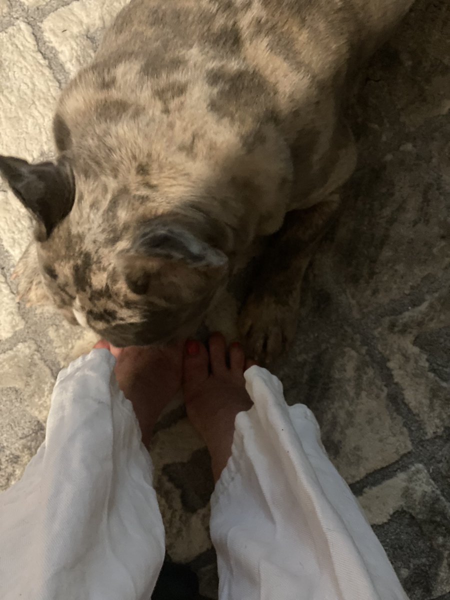 2taybrooke's tweet photo. Link in bio for better pics that will make you jealous 👅🦶🏼

send ~ serve ~ drain ~ humanatm ~ walletdrain ~ finD | findom ~ fetish ~ brat ~ lipworship ~  footworship ~ assworship ~ onlyfans ~ finsub ~ domme ~ onlyfansbabe https://t.co/ebASS6Tmp1