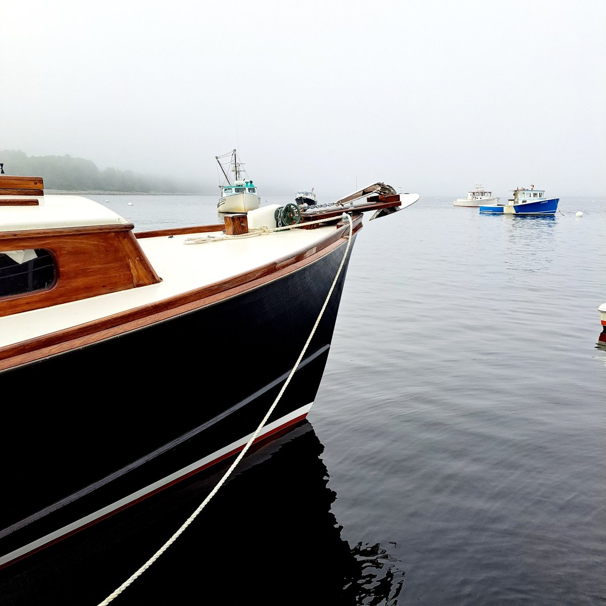 StarboardBound's tweet photo. Still fogged in ...

#noparticularplacetogo https://t.co/HLYWS6mQr6