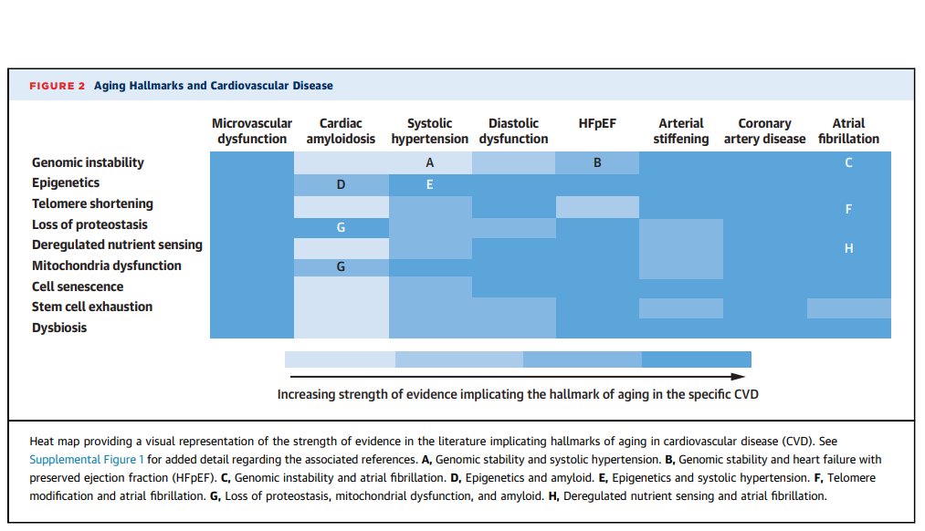 🥼Agingdoc1⭐MD, PhD 🔔 on Twitter "Impact of Geroscience on Therapeutic