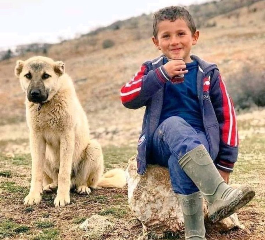 Yaşarken Mutlu Olmaya Bak, 

Çünkü Uzun Süre Ölü Kalacaksın!!!!

#GeceyeNotum