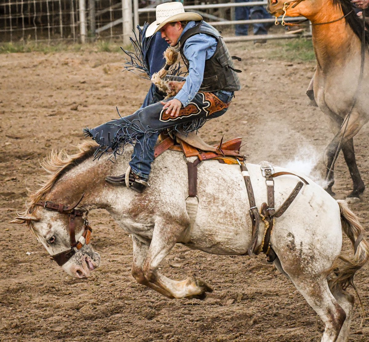 LanceWinter's tweet photo. First time I’ve been to a rodeo in years. 
The Wimberley VFW Rodeo folks did a great job last night. If you’re in @wimberleytex you should go. @NikonUSA https://t.co/4noxHWgRZM