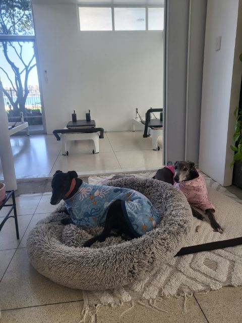 Chloe Turner tweet media