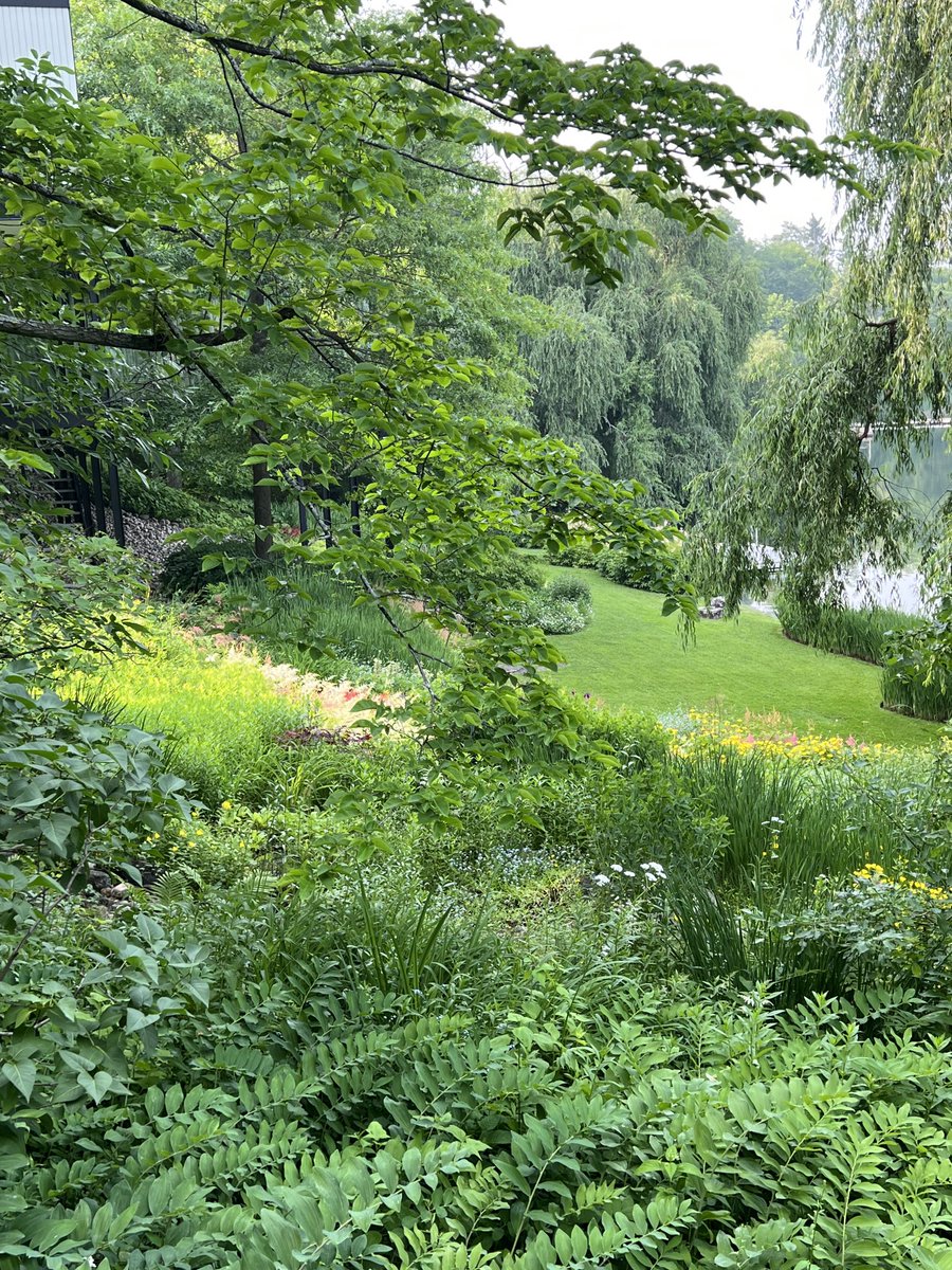 Thomas d'Aquino tweet media