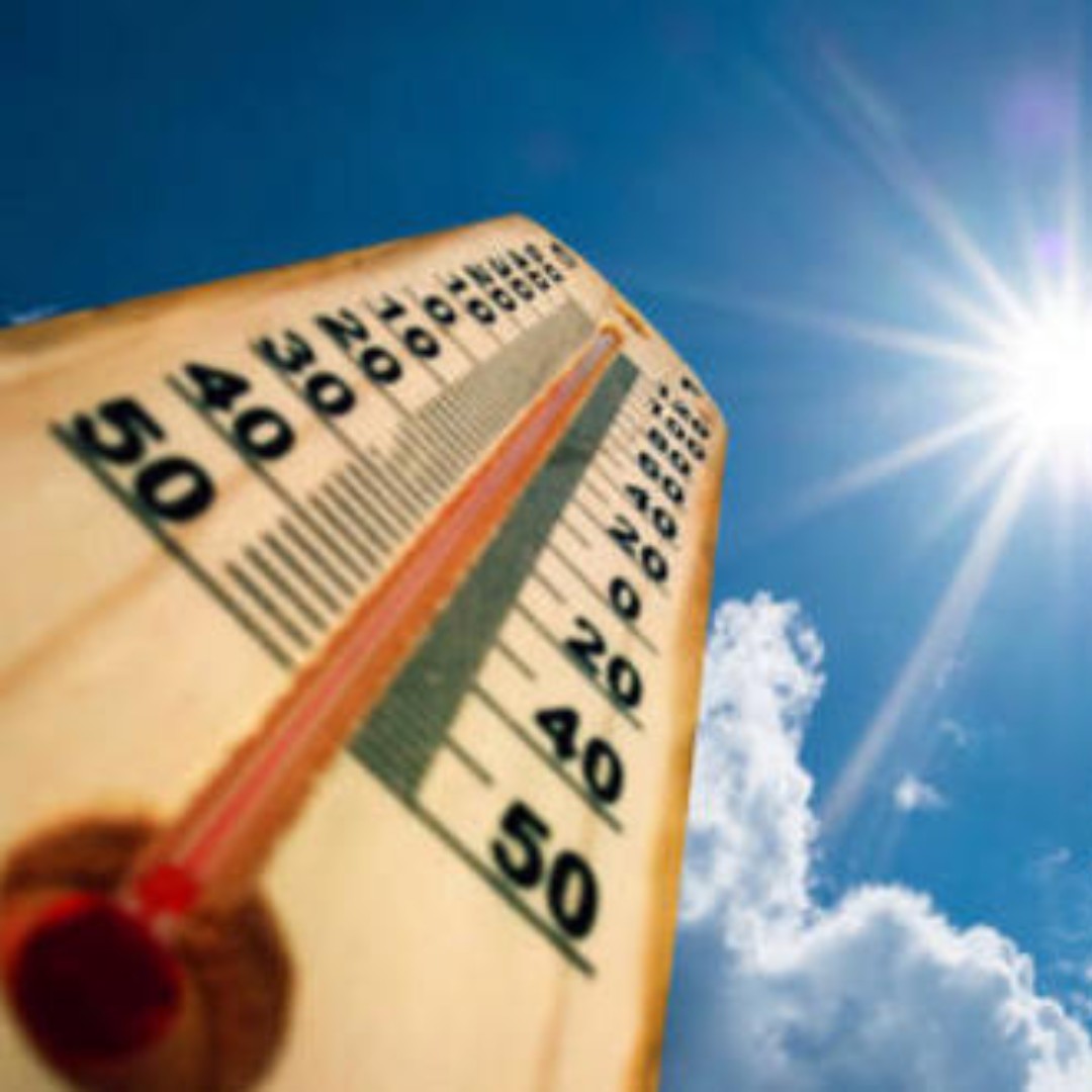 Sherwood Library tweet media