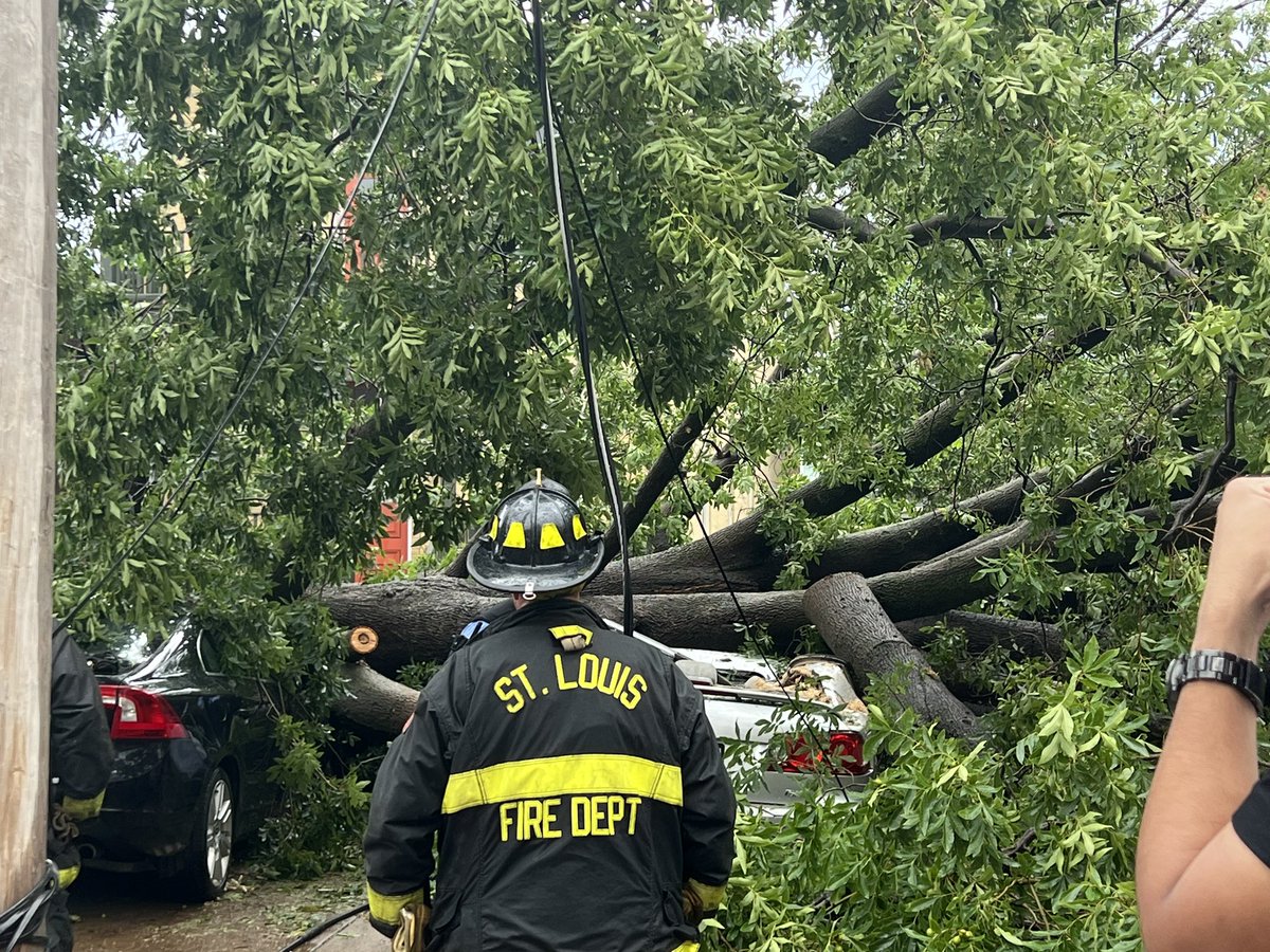 The neighbor at my shop was waiting out the storm in her car when this tree fell. Another neighbor saw and attempted to call 911 for over 30 minutes. She was alive and responsive. By the time someone got through and the fire department arrived she still had a pulse, but