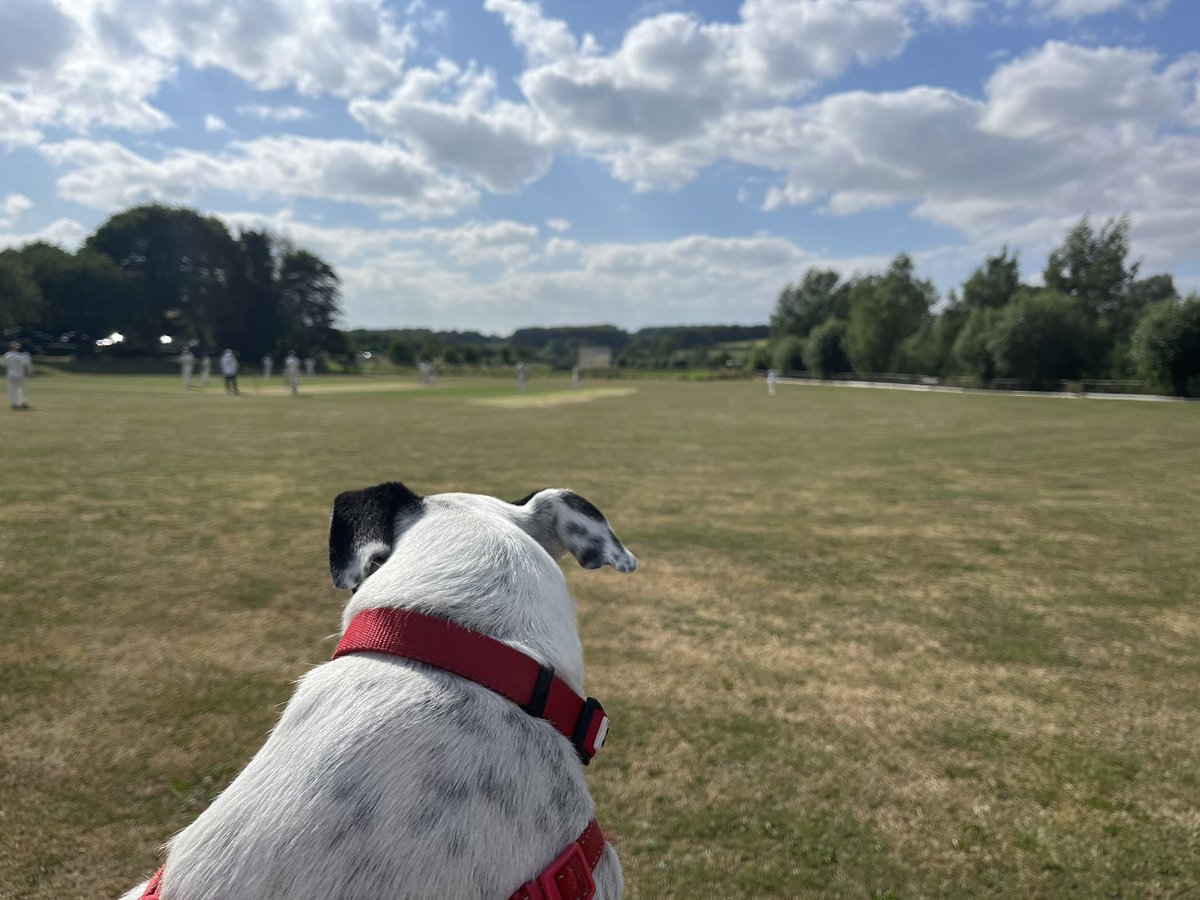 Spot (@spotbajpai) on Twitter photo <a href="/swinbrookcc/">Swinbrook CC</a> I was all over this. Bloody marvellous place for until that bastard Harvey smacked a ball into my arc and I had to move. Then I never got any of the pork pie challenge. I’d have given those blokes a run for their money. Especially Liam… Pah. Good win though fellas! <a href="/swinbrookcc/">Swinbrook CC</a> I was all over this. Bloody marvellous place for until that bastard Harvey smacked a ball into my arc and I had to move. Then I never got any of the pork pie challenge. I’d have given those blokes a run for their money. Especially Liam… Pah. Good win though fellas!