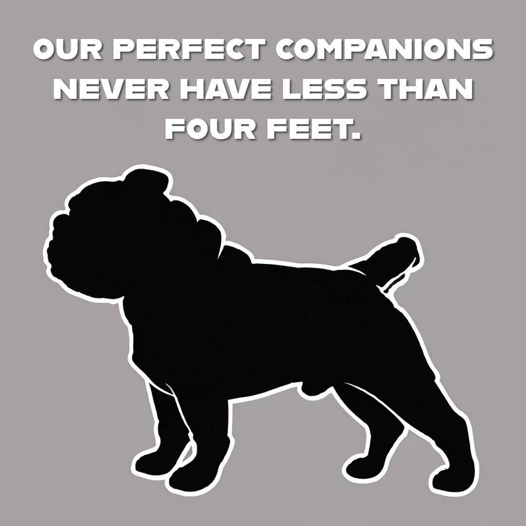 Michael Ninness tweet media