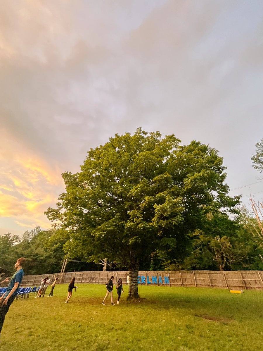 Shavua Tov from Perlman 💌