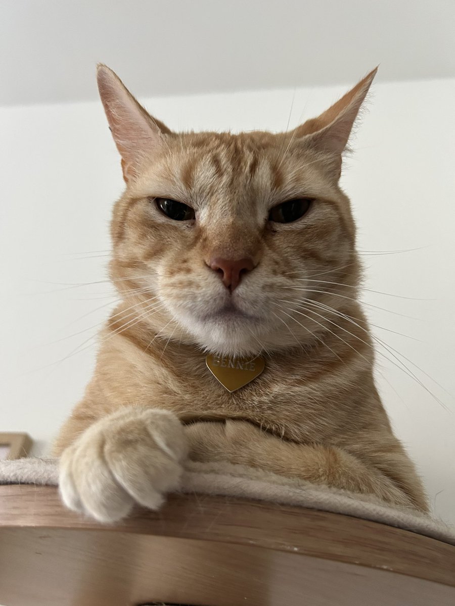 thhee facsee uva Guy tht justt , got A Spacceshipp (Mumy calls it , a LittarRobott)