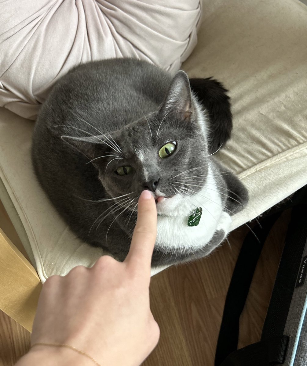 whyy dus brotherr like Nosey touched ,.