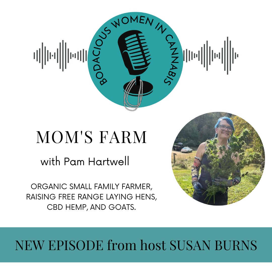 Bodacious Women in Cannabis | The Inspiring Journey of Pam Hartwell, Founder of Mom's Farm is out. Check it out here: …ious-women-in-cannabis.simplecast.com/episodes/the-i…