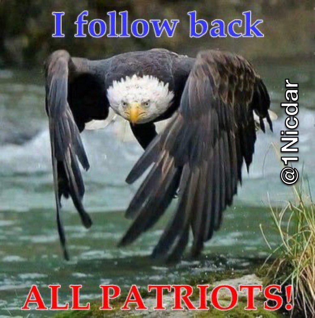 @InjunJoe27 @Lisahudsonchow7 @827js @1mir_r @Ilegvm @45KAG1 @PAYthe_PIPER @FAB87F @NancyMar2022 @tdpga @GabiNga1 @bdonesem @TRUMPSBLONDE_23 @FemalesForTrump @SassyWarrior02 @ArmandKleinX @V_Hawtmess1 @PinnyLoketch @Pat300000 @PaulaRed62 @Its_Gav_7 @InjunJoe2726 🇺🇸@1Nicdar🇺🇸IFBAP🇺🇸