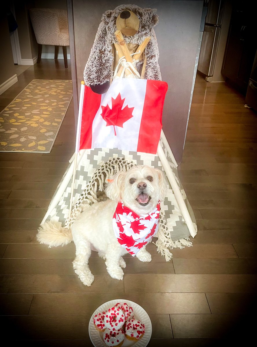 🇨🇦Happy Canada Day🇨🇦 to my fluffy Canadian friends & their humans!
Despite the rain & thunderstorms, we had fun inside with chicken & pupcakes! I feel like the luckiest dog to live in this amazing country! I❤️you, Canada!🇨🇦
#CanadaDay2023  #ProudToBeCanadian #dogs #dogsoftwitter