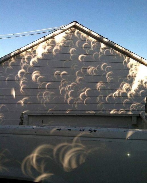 Así es como se ve la sombra de los árboles durante un eclipse solar.