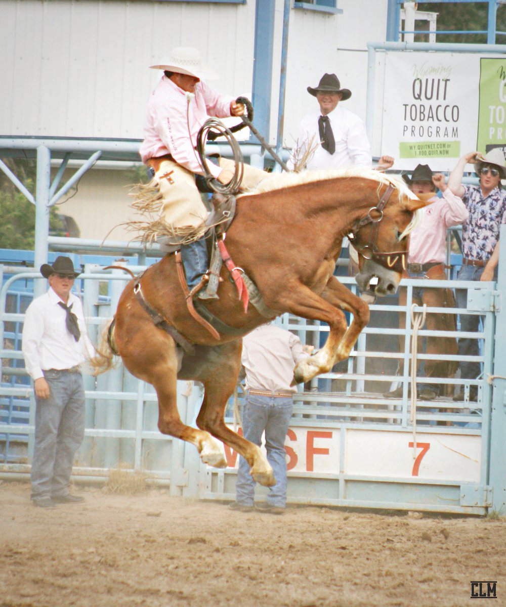 We are excited to announce the highly anticipated 2023 Grandstand Event Lineup!  

To see what we have in store visit ➡ wystatefair.com/state-fair/gra…

#prca #prcarodeo #grandstand #motorsport #muttonbustin #demolitionderby #toughenoughtowearpink