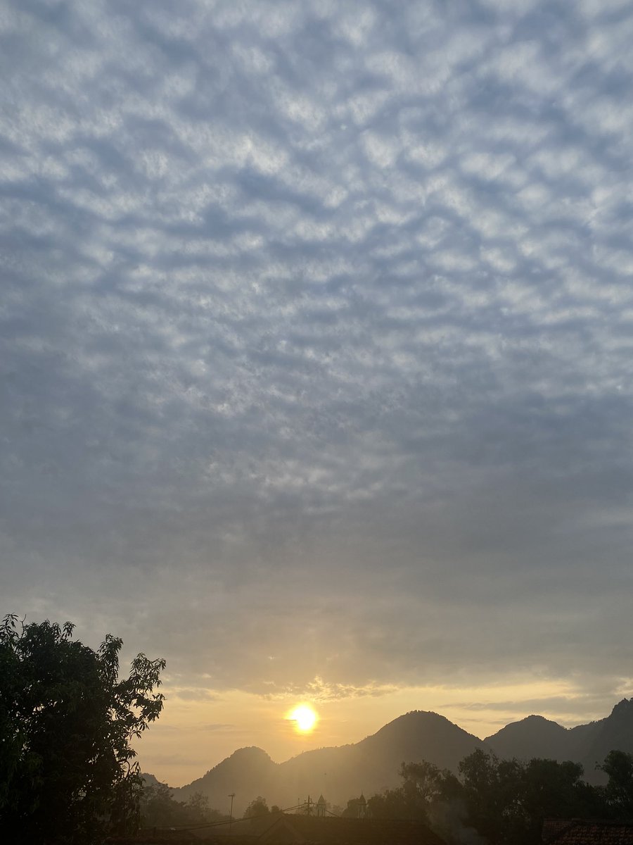 FaizIsnan's tweet photo. Morning ☕️ https://t.co/DXcq0UBJUS
