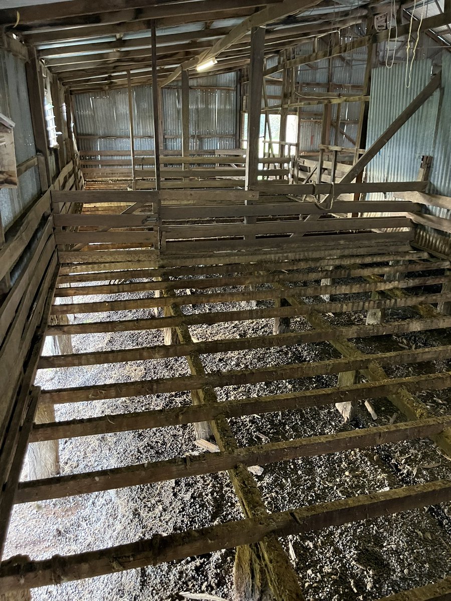 John Bennett tweet media