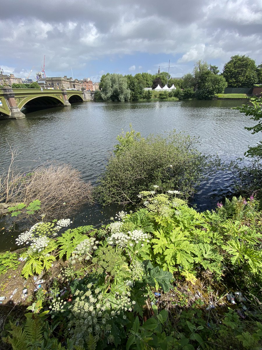 Jibunnessa's tweet image. Part of the River Clyde on my @DiabetesUK #millionstepschallenge Day 1

step.diabetes.org.uk/fundraising/