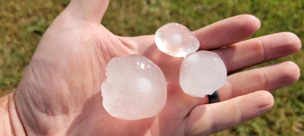 rjbisonranch's tweet photo. We don't see hail very much here in SE Saskatchewan, is this what you're supposed to do?

#ShareYourWeather #skstorm #ranchlife #weather #CanadaDay https://t.co/Ti1xmtXVls