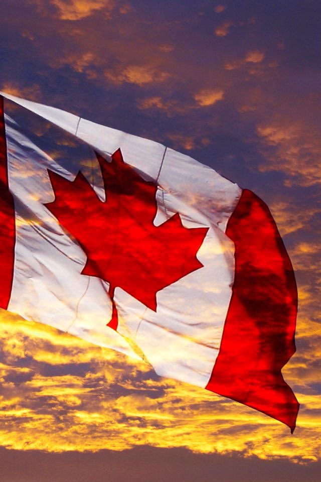 CarbellaC's tweet photo. Happy Canada Day ! https://t.co/OEsVikW25l