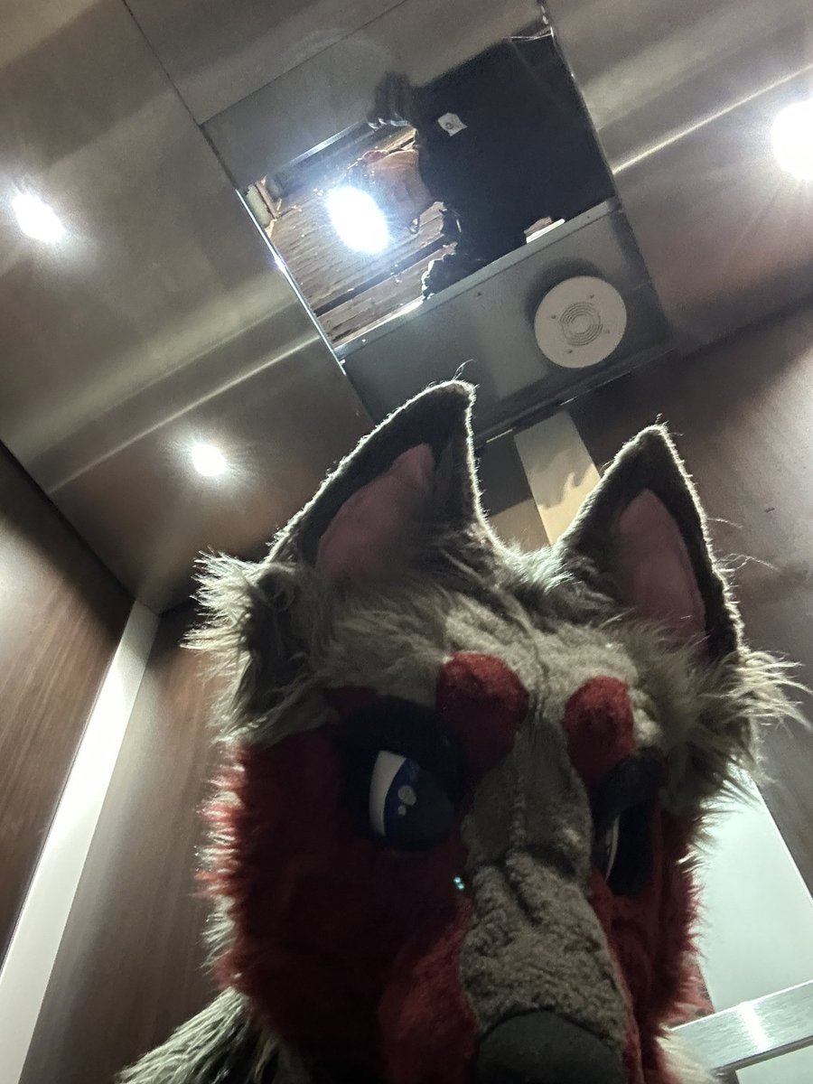 We getting rescued :)