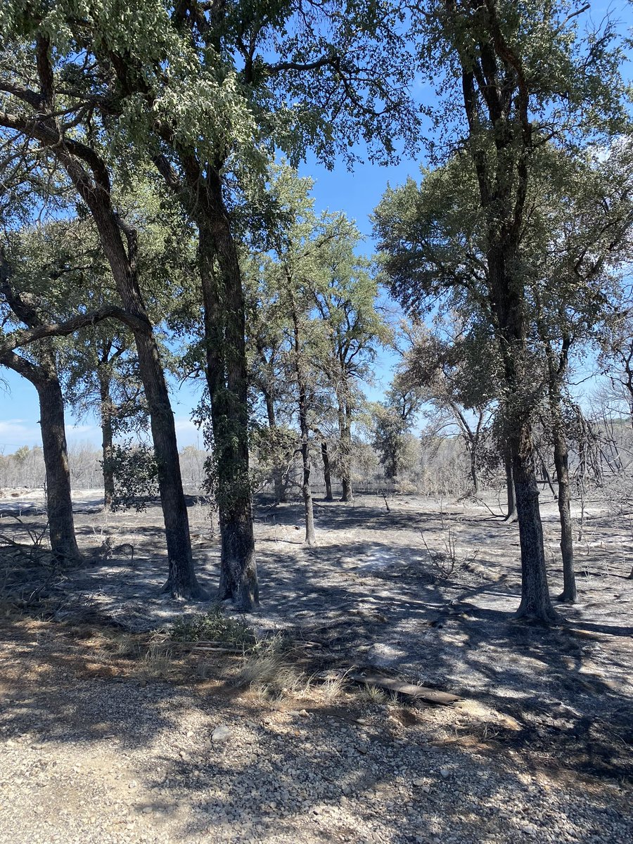 AllHazardsTFS's tweet photo. Update: the #StorageFire in Palo Pinto County is an estimated 950 acres and 85% contained. Decrease in acreage due to more accurate mapping. Firefighters and aircraft continued suppression work, focusing on the east flank. The fire area received beneficial rainfall today. #txfire https://t.co/XTyhnVCYZG