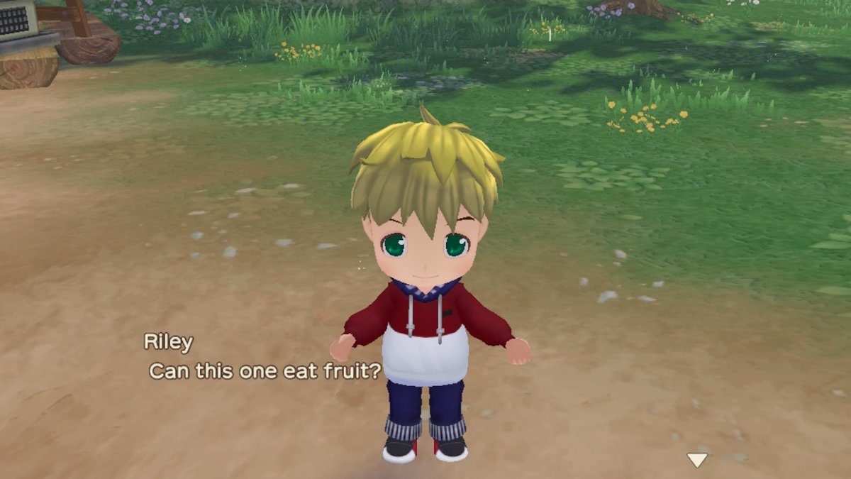 uploadnh's tweet photo. #SOSAWL #storyofseasons #NintendoSwitch https://t.co/HTutANro1C