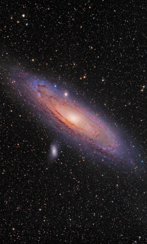 Andromeda