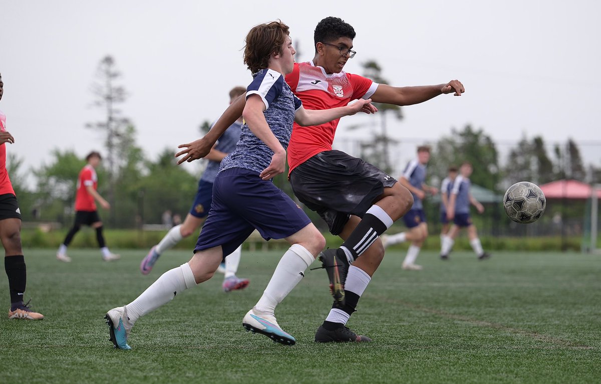 DW Photo tweet media