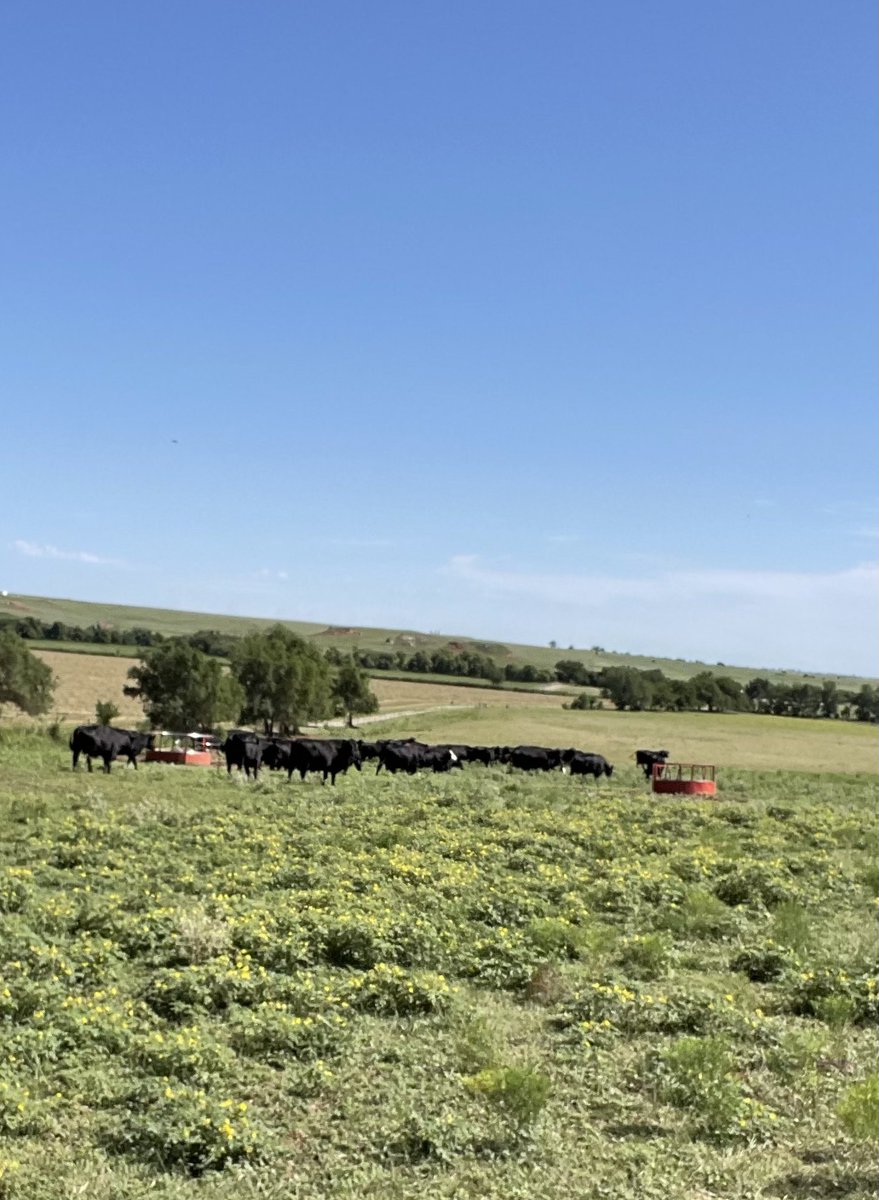 Tucker Goodall tweet media