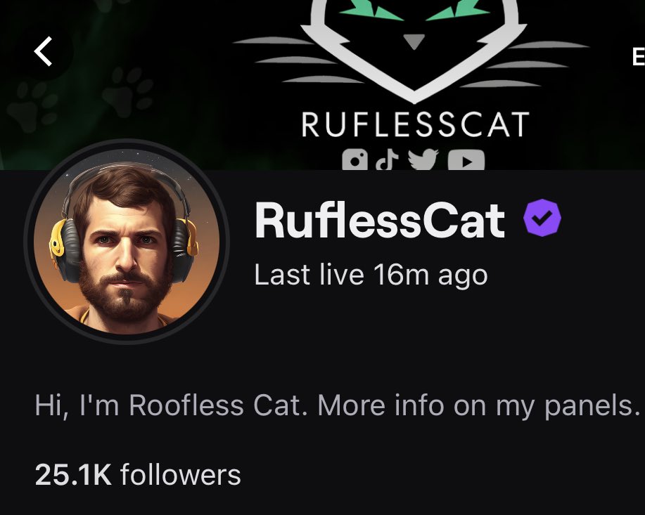 Ruflesscat's tweet photo. From 50k to 100k in one month and 25k on Twitch. What a great way to start the month of July, thank you 🥹💚 https://t.co/rpHuDyXZWf