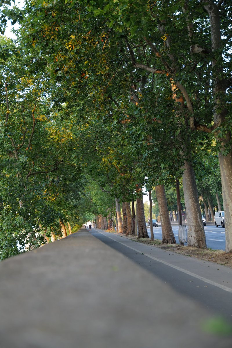 Assalamu’alaikum Wr Wb. Selamat pagi AMLers HEBAT semua yg penuh berkah dan selalu sehat. 

Buat yg menjalankan Ibadah Minggu, semoga senantiasa sehat, penuh kedamaian dan cinta kasih dimanapun berada. 

Minggu yg membahagiakan. 

❤️❤️❤️❤️❤️❤️