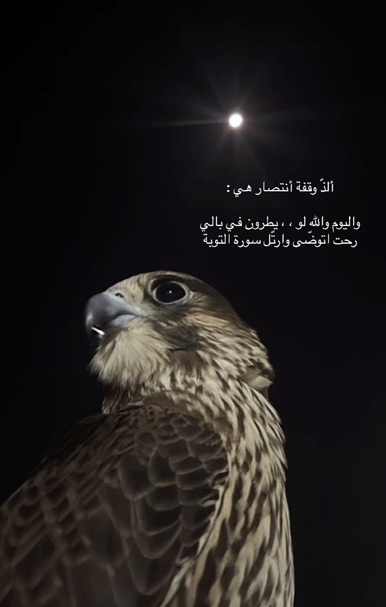 nabotaraf's tweet photo. https://t.co/ULJs0cW8ch