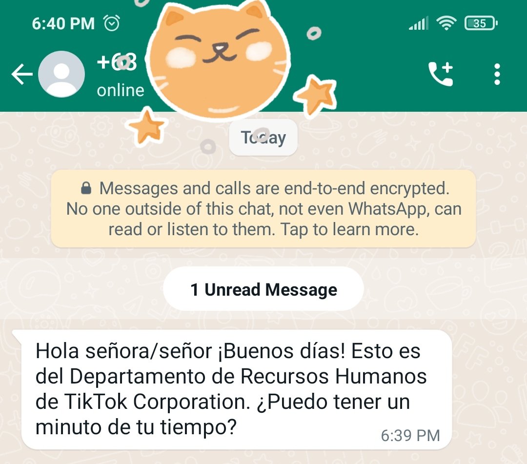 SmokeLeopard's tweet image. Me pregunto para que me quieren los de TikTok. Ha ha ha, ni siquiera Spear Phishing ... me siento ofendido