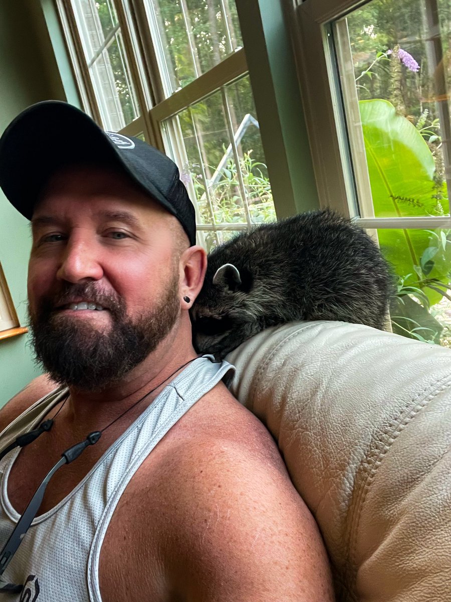 TomBoySC's tweet image. My new friend. #pet #bearded #tattoo #zaddy #farm #animals #babyanimals #Raccoon