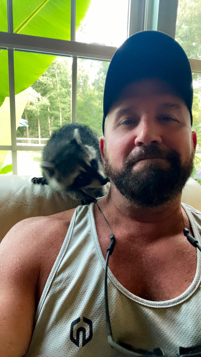 TomBoySC's tweet image. My new friend. #pet #bearded #tattoo #zaddy #farm #animals #babyanimals #Raccoon