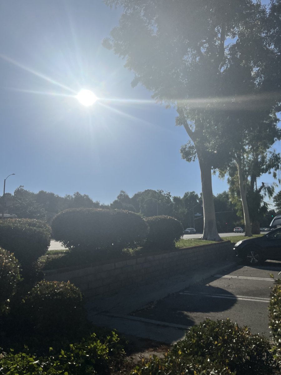 Amy Powell tweet media