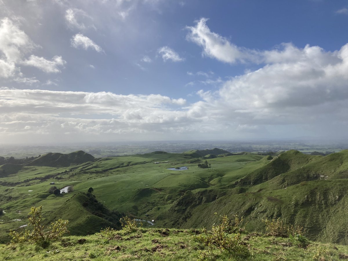 中浦ダイ tweet media